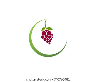 Grape icon logo design template