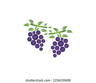Grape icon logo template vector