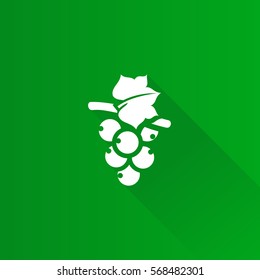 Grape icon in Metro user interface color style. Fruit berry sweet