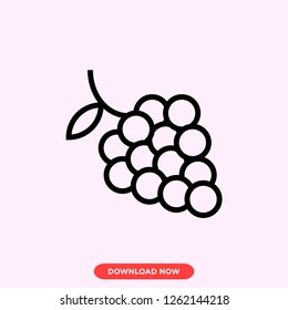 Grape icon modern vector style