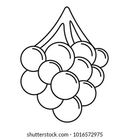 Grape icon. Outline illustration of grape vector icon for web