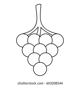 Grape icon. Outline illustration of grape vector icon for web