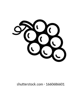 grape icon outline vegetable and fruit