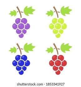 Grape icon set. Colorful fruits symbol collection. Healthy food concept. Vector illustration isolated on white.