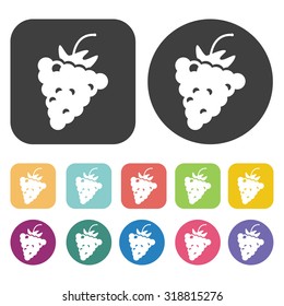 grape icon set. Vector Illustration eps10
