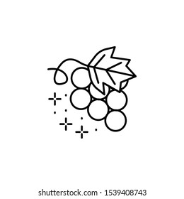 Grape icon. Simple line, outline vector of Thanksgiving day icons for ui and ux, website or mobile application