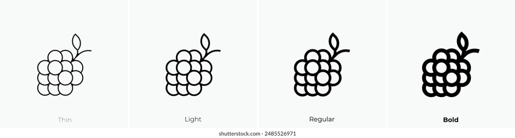 grape icon. Thin, Light Regular And Bold style design isolated on white background