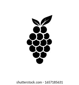 Grape icon trendy flat design