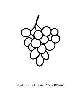 Grape icon trendy flat design