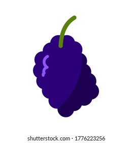 Grape icon trendy flat design. Vector illustration