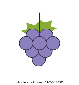 Grape icon. Grape vector icon. 