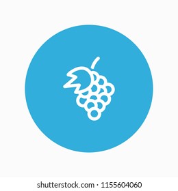 grape icon vector