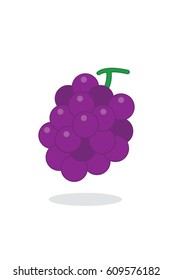 Grape icon vector