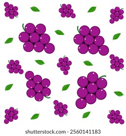 Grape icon, vector fruit illustration, nature wine, isolated on white. grapes seamless. grapes pattern background.
