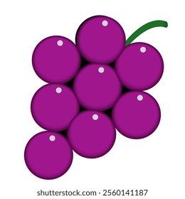 Grape icon, vector fruit illustration, nature wine, isolated on white. grapes seamless. grapes pattern background.