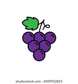 grape icon vector fruit sign wine logo