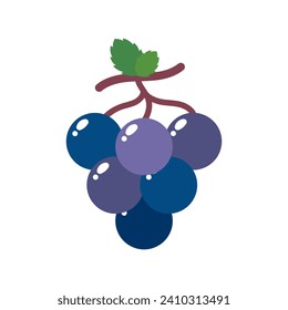 Grape icon vector. Fruits illustration sign. Vitamins symbol. Vegetarian logo. Food mark.