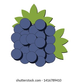 Grape icon. Vector of grapes designed with beautiful grains of purple.