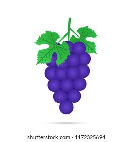 Grape icon. Vector illustration