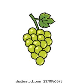 Grape icon vector illustration. Bunch on isolated background. Vine sign concept.