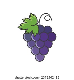 Grape icon vector illustration. Bunch on isolated background. Vine sign concept.