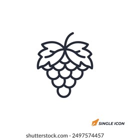 Grape icon vector illustration. Grape symbol isolated on white background.