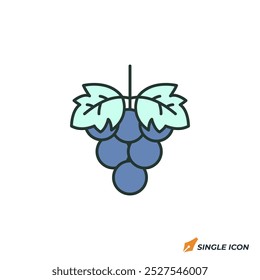 Grape icon vector illustration. Grape symbol isolated on white background