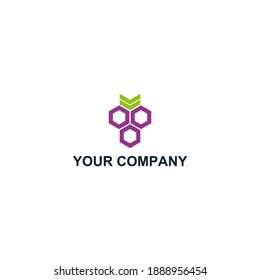 Grape icon vector logo design. Grape template quality logo symbol inspiration