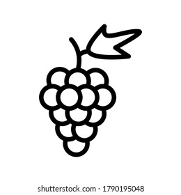 plantilla de símbolo vector de icono de uva