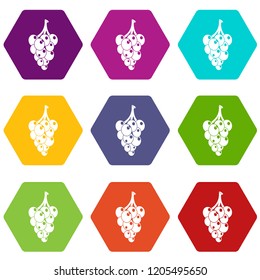 Grape icons 9 set coloful isolated on white for web