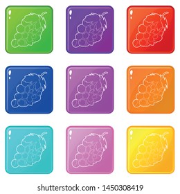 Grape icons set 9 color collection isolated on white for any design