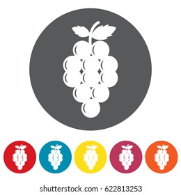 Grape icons set.Vector illustration
