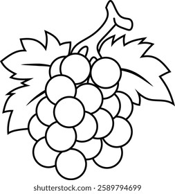 grape illustration coloring page printable