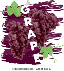 Grape illustration. Drawn fruit. Purple grape with yellow, purple background. Green grape leaves. Grape vector.