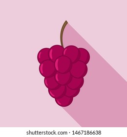 Grape illustration in flat style. Icons for design and web.