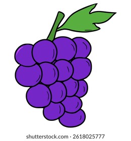 grape illustration hand drawn isolated vector