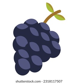 Grape Illustration on white background