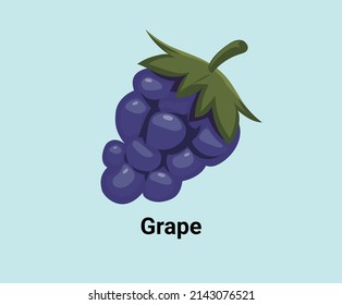 Grape illustration set. fruit icon, market, store, grocery. Fruit Vector drawing. Hand drawn style.