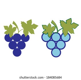 GRAPE ILLUSTRATION VECTOR
