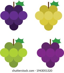 Grape illustration vector blue, purple, green and yellow. Grape logo icon vector