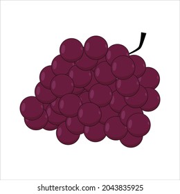 
grape illustration for you fruit and vegetable fans
