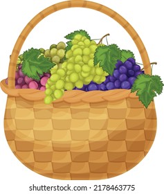 Grape. Image of grapes in a basket. Green and purple grapes in a basket. Bunches of grapes. Vegetarian products. Vector illustration