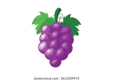 Grape isolated on a white background. Fruit grape illustration.