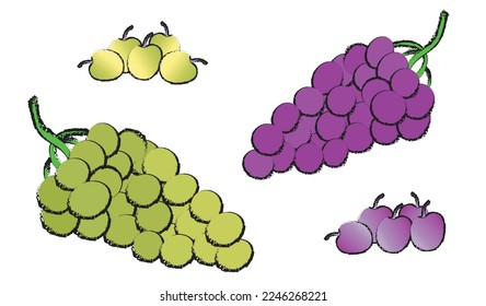 Grape isolated vector set on white background , fruit line art vector isolated
