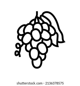 grape juice berry line icon vector. grape juice berry sign. isolated contour symbol black illustration