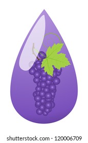 Grape juice drop violet ecology concept vector background