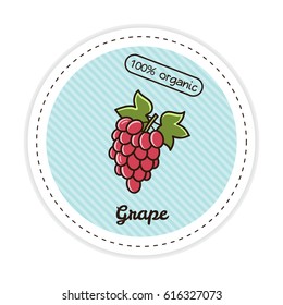 Grape label. Vector illustration.