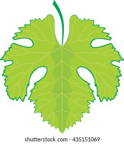 grape leaf
