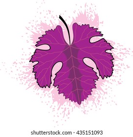grape leaf