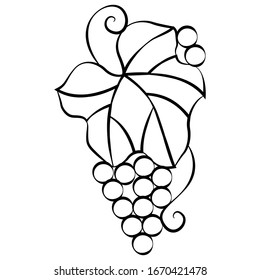 Grape leaf and berries in doodle style, simple vector illustration, design ornament, linear black pattern, isolate on a white background